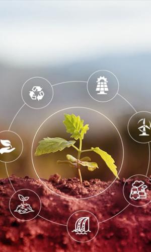 Yenilenebilir Enerji;